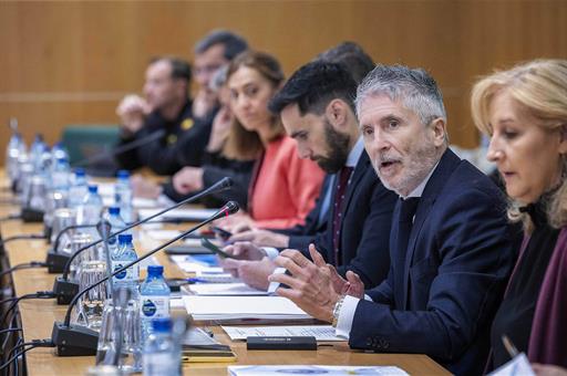 Fernando Grande-Marlaska durante la reunión del Comité de Coordinación extraordinario para la declaración de emergencia